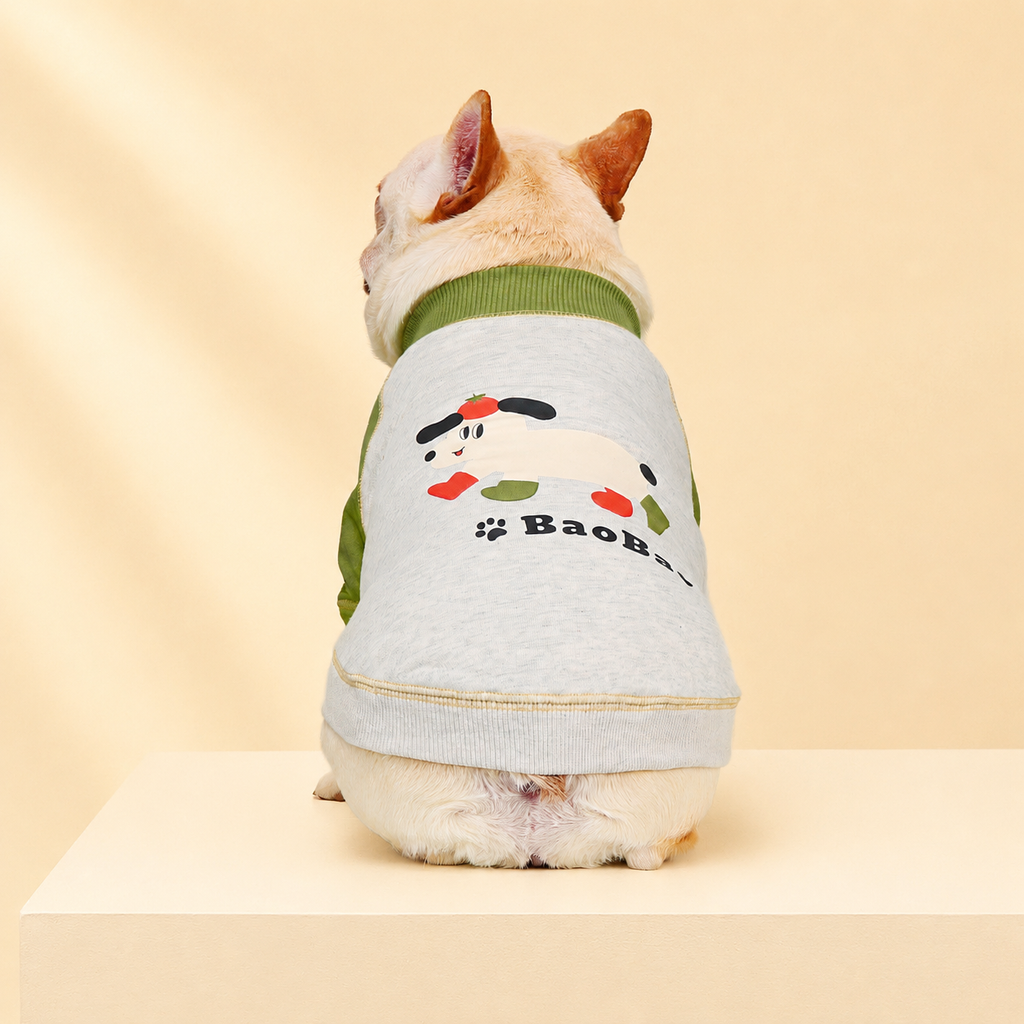 French Bulldog Print Colorblock Hoodie