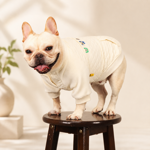 Frenchie Winter Coat
