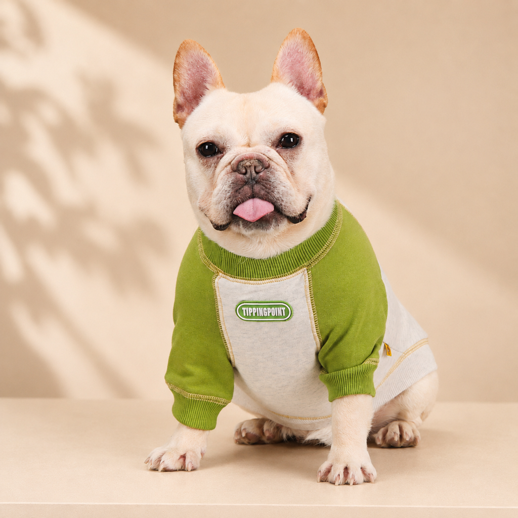 French Bulldog Print Colorblock Hoodie