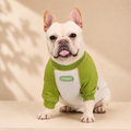 French Bulldog Print Colorblock Hoodie