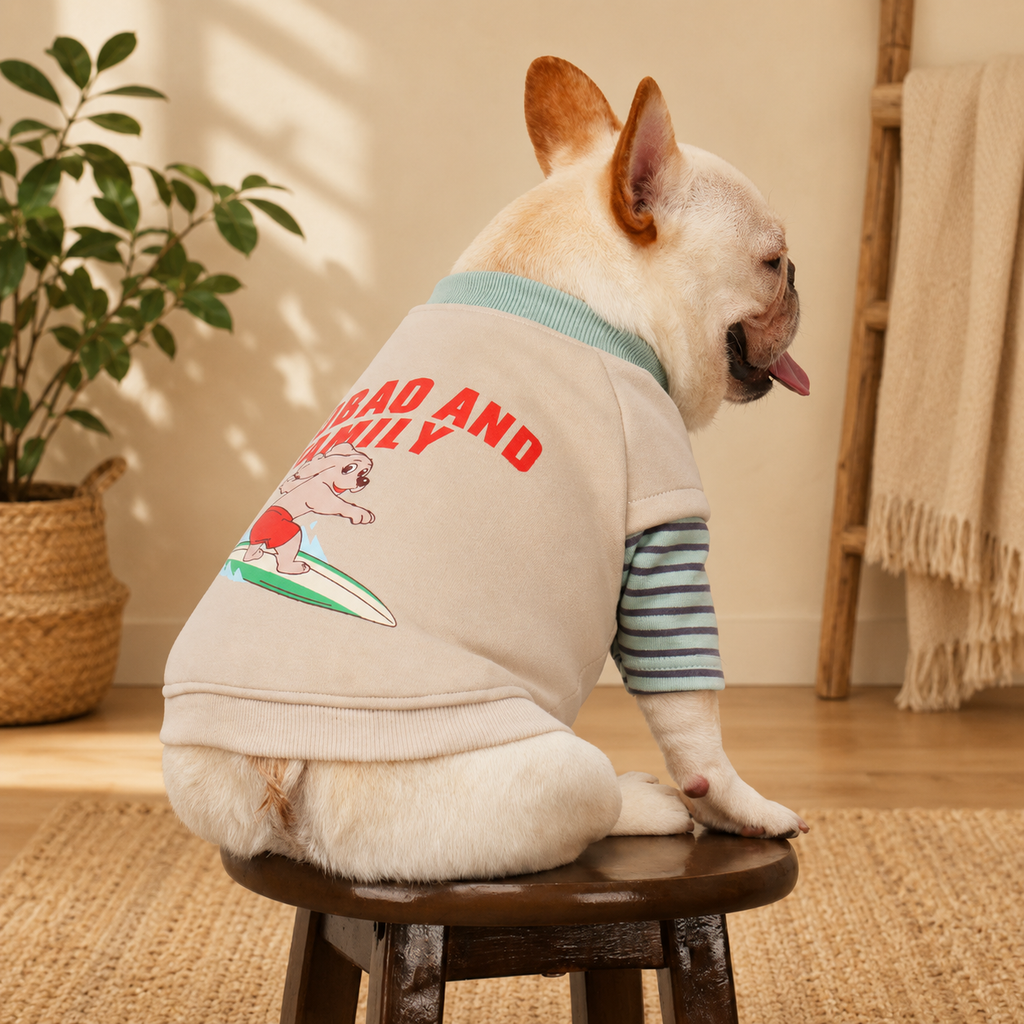French Bulldog Embroidered Patchwork Sweatshirt