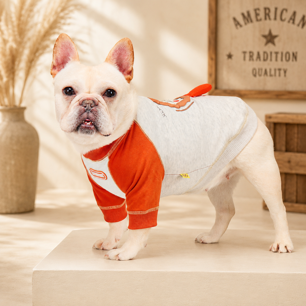 French Bulldog Embroidered Colorblock Sweatshirt