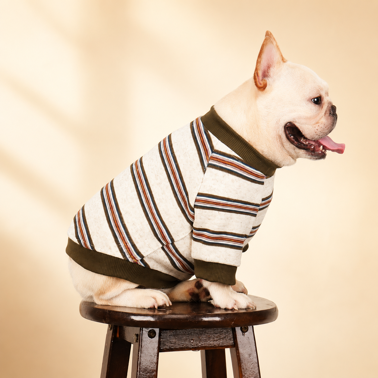 French Bulldog Striped Sweater