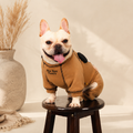 French Bulldog Printed Four-Leg Dog Jumpsuit – Cozy Pet Outfit for Fall & Winter