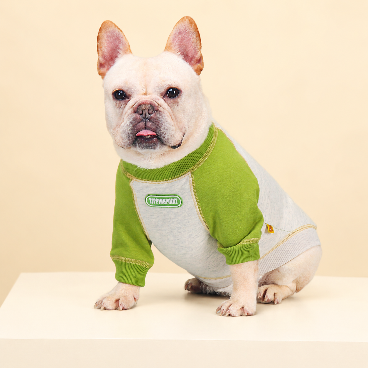 French Bulldog Print Colorblock Hoodie
