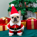 French Bulldog 3D Christmas Costume Set