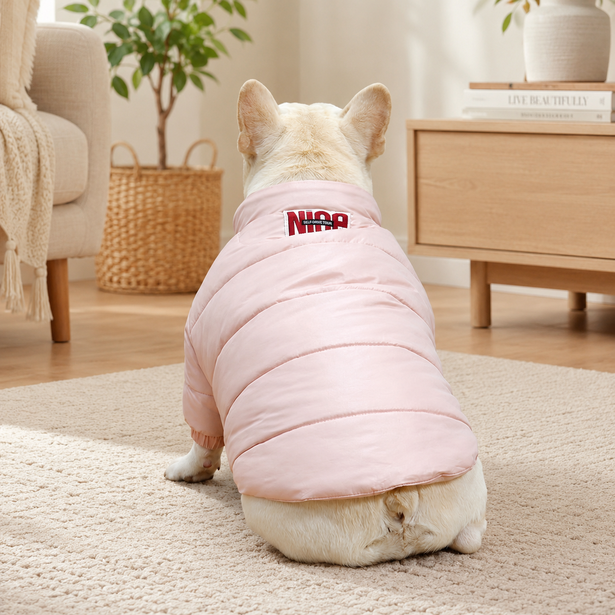 French Bulldog lightweight down jacket