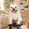 Embroidered Knit Crewneck Sweatshirt for French Bulldogs