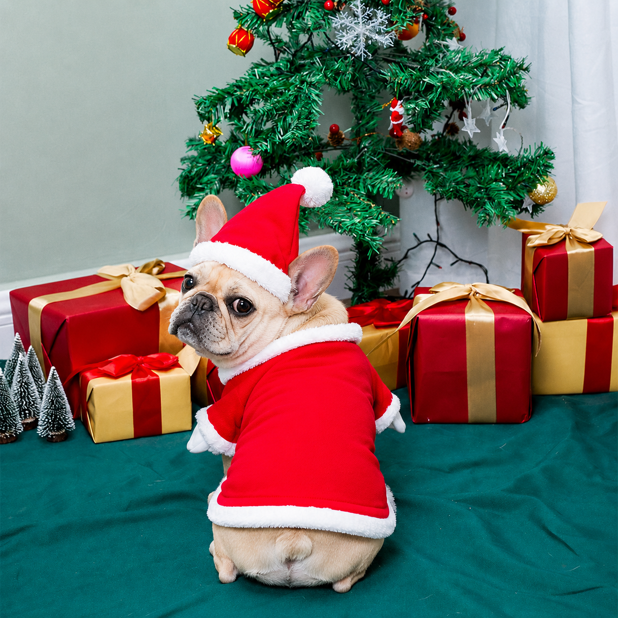 French Bulldog 3D Christmas Costume Set