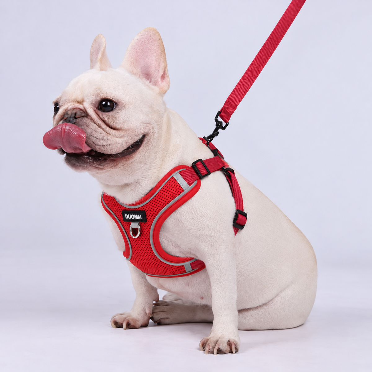French Bulldog Mesh Harness and Leash Set