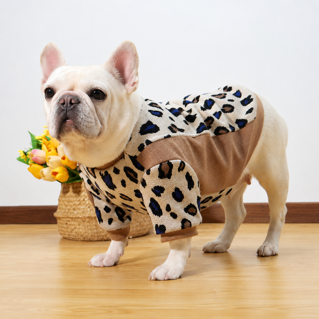 Frenchie Leopard Colorblock Sweatshirt