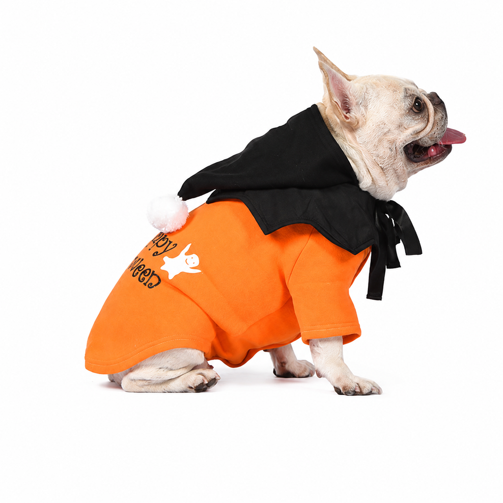 French Bulldog Christmas Outfit