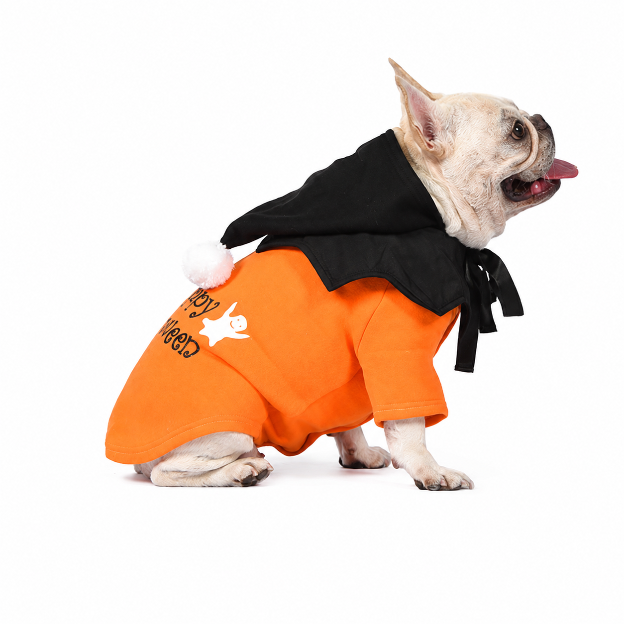 French Bulldog Christmas Outfit