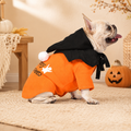 French Bulldog Christmas Outfit