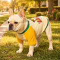 French Bulldog Color-Block Gym Sweatshirt