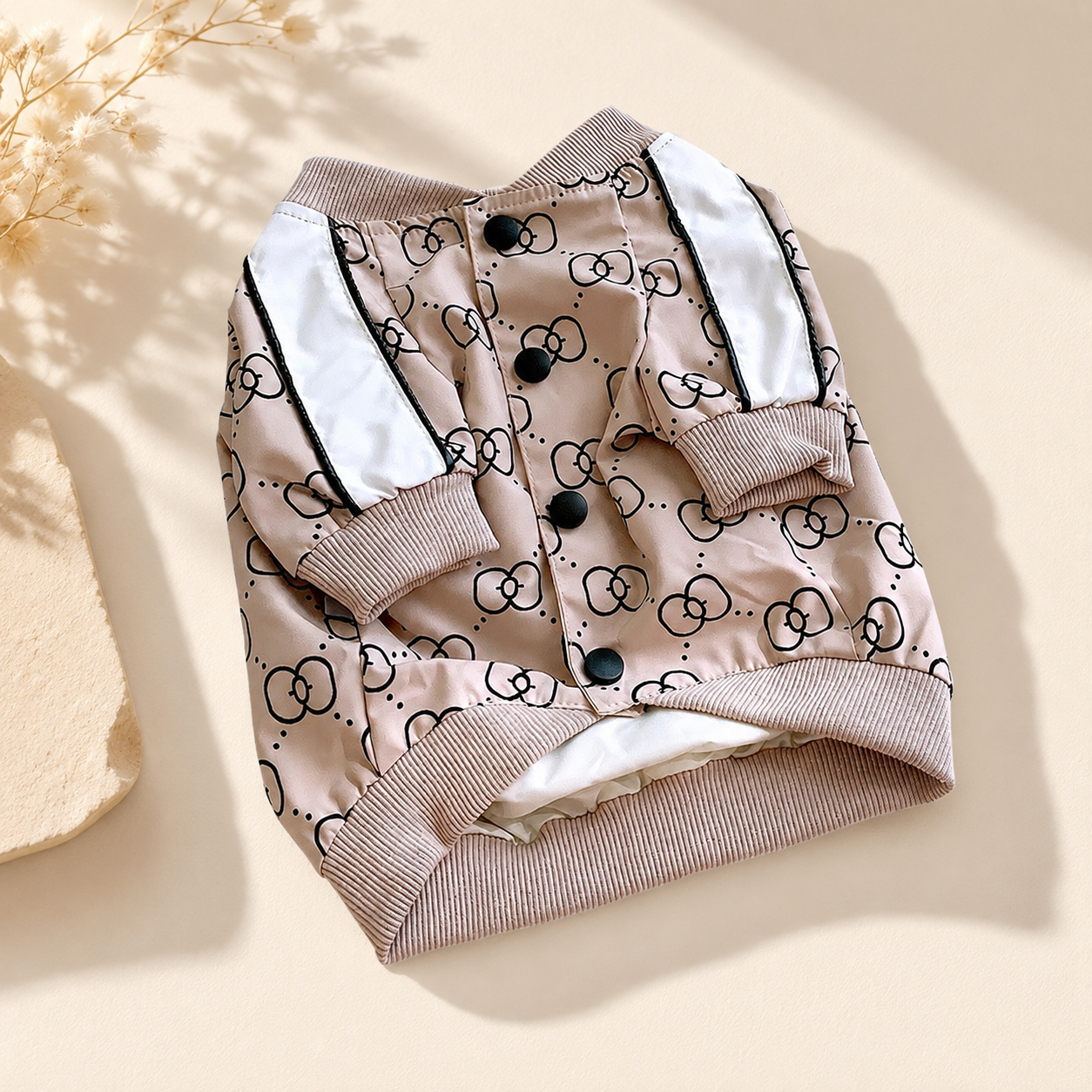 Frenchie Raglan Spring Autumn Jacket