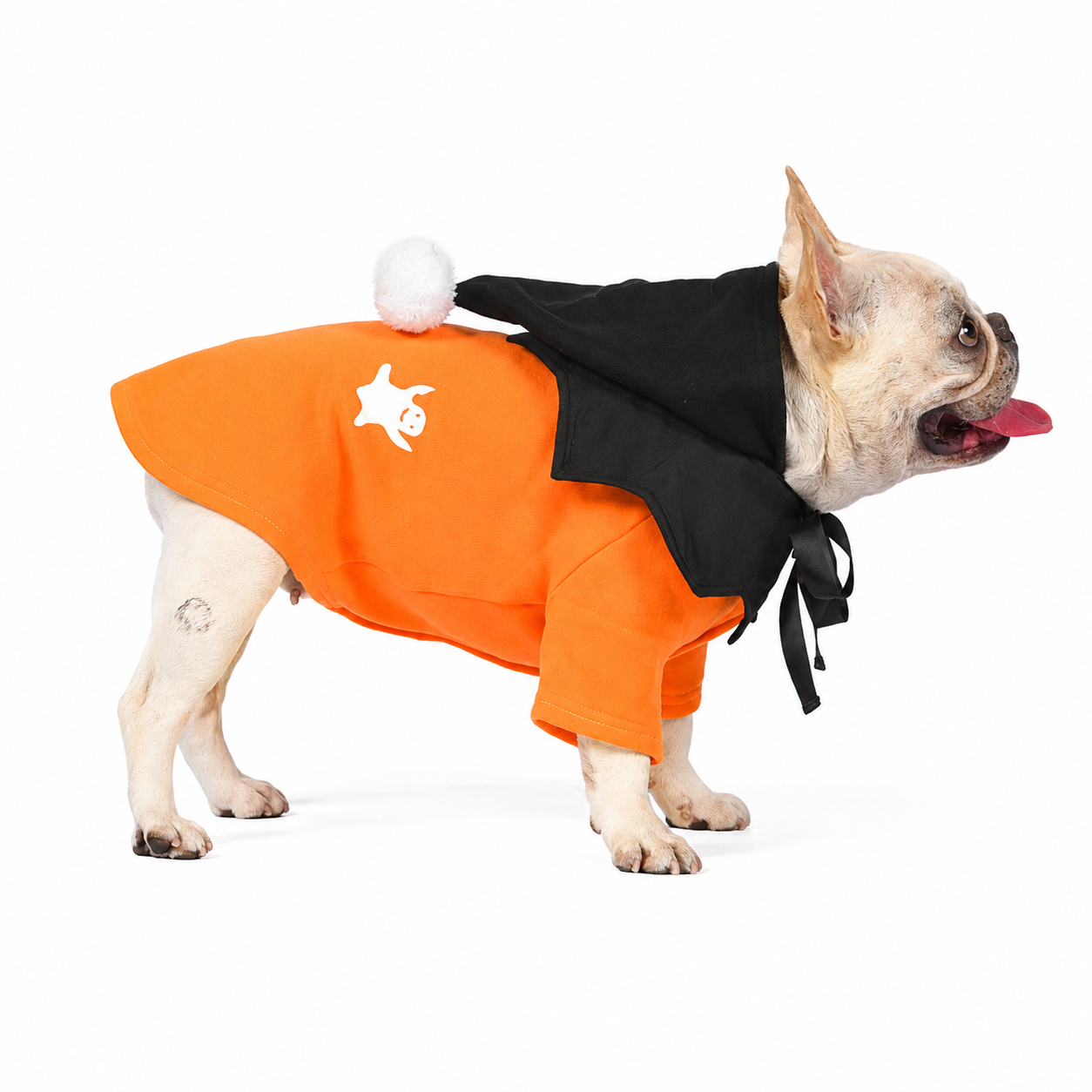 French Bulldog Christmas Outfit