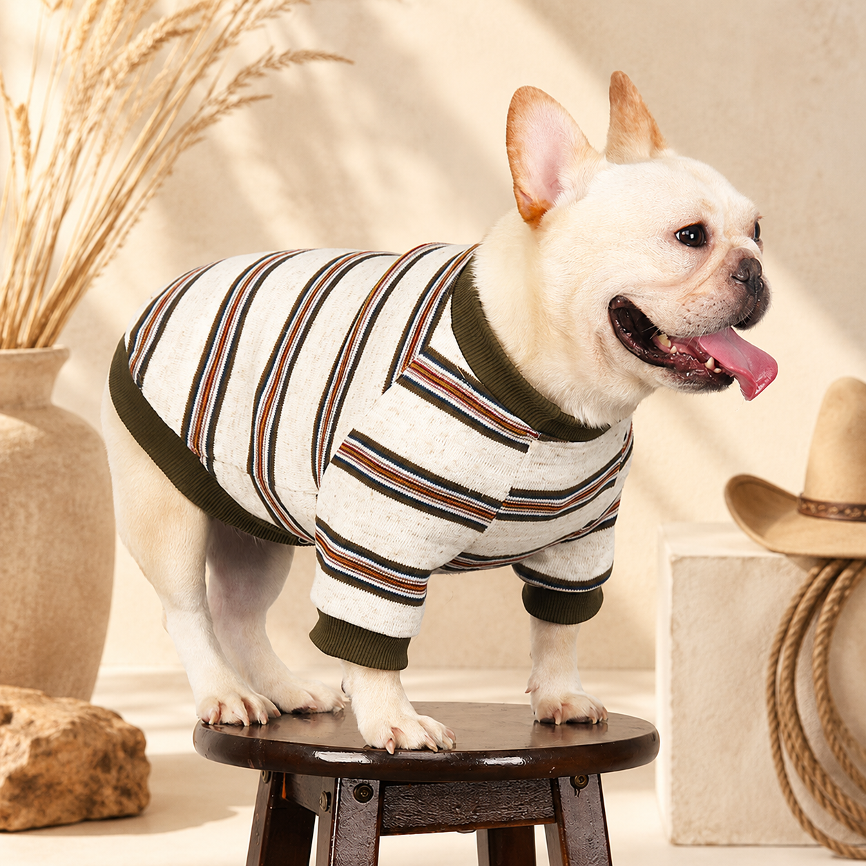 French Bulldog Striped Sweater