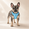 French Bulldog Wild-Style Dog Harness Vest with Leash Attachment