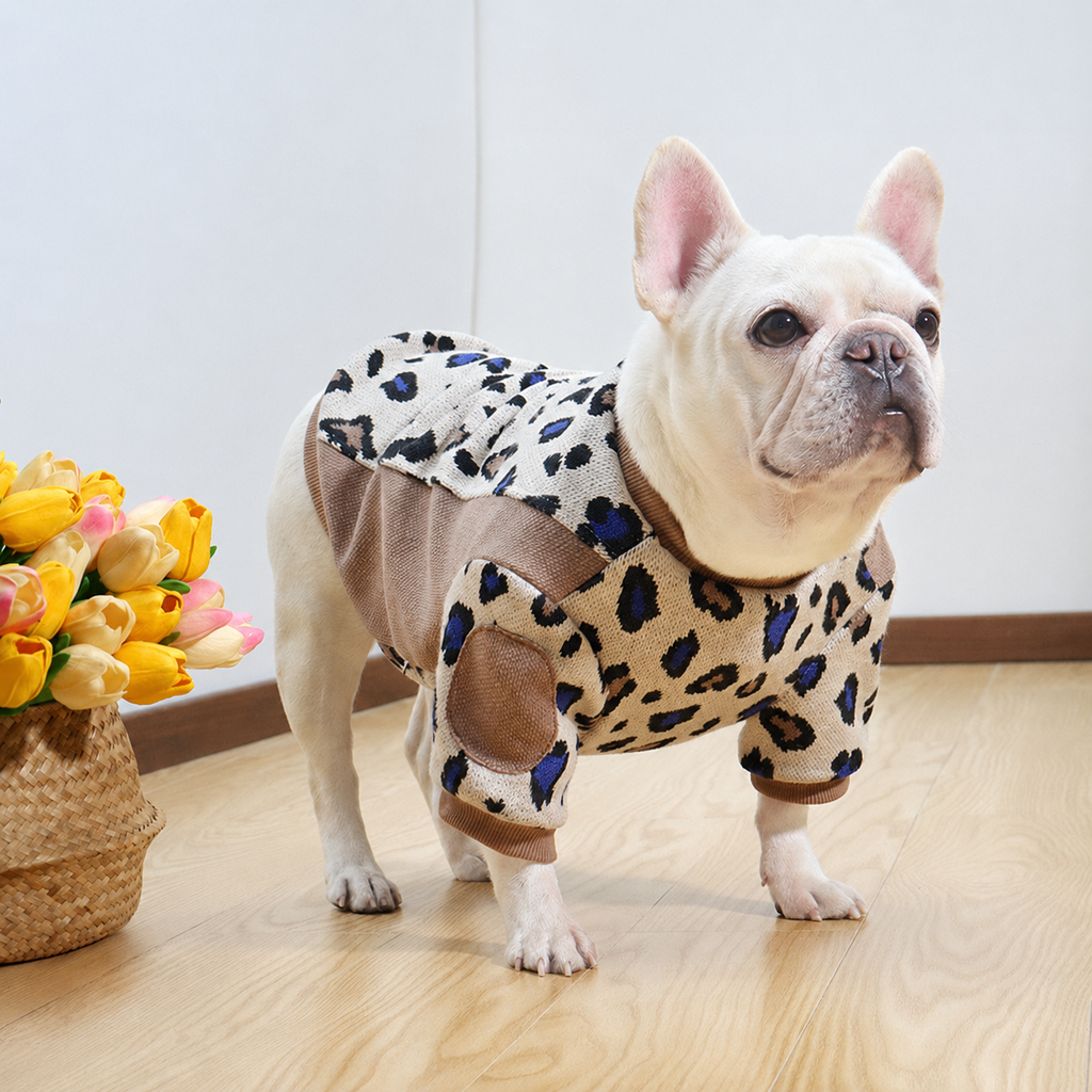 Frenchie Leopard Colorblock Sweatshirt