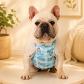 French Bulldog Cooling Vest with Ice Packs