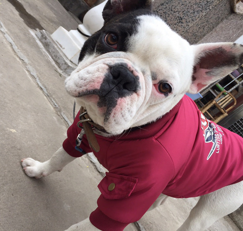 Frenchie Parka