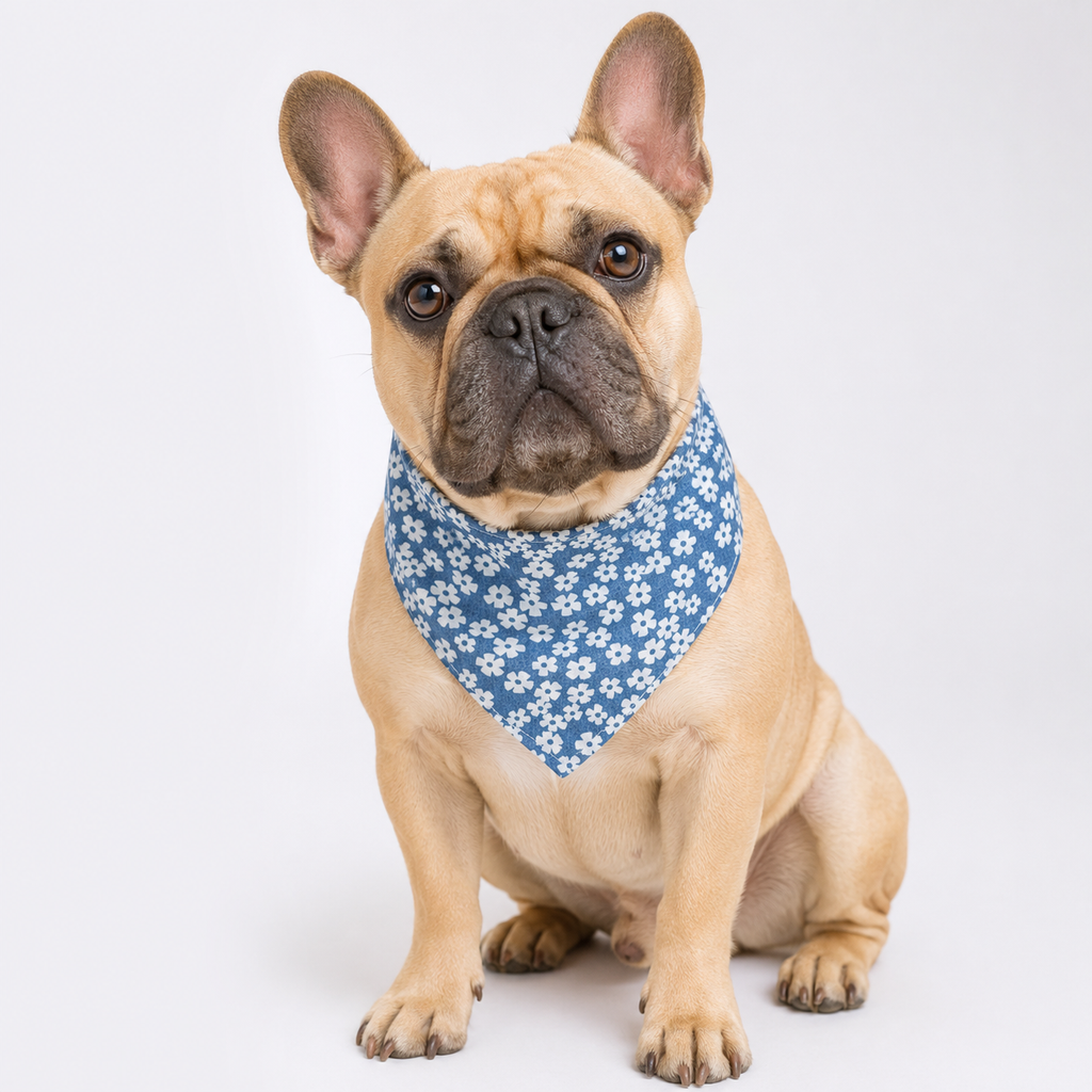 French Bulldog Triangle Drool Bandana