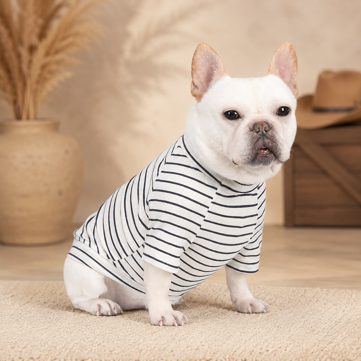 French Bulldog Striped Knit T-Shirt