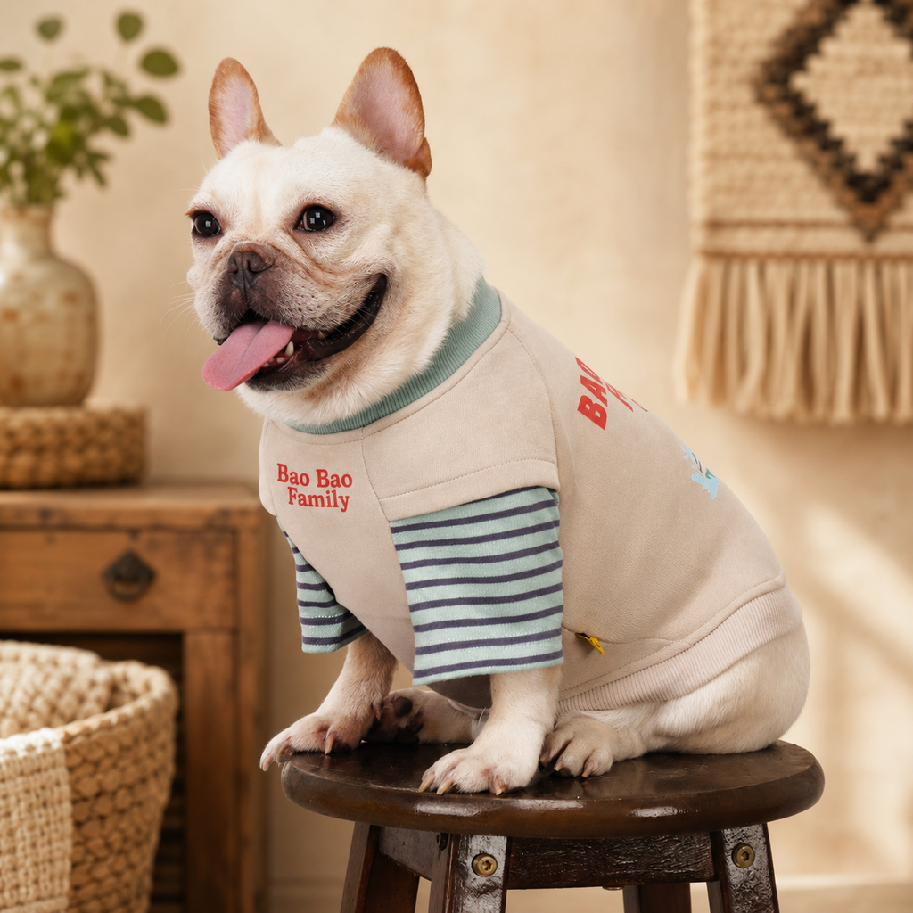 French Bulldog Embroidered Patchwork Sweatshirt
