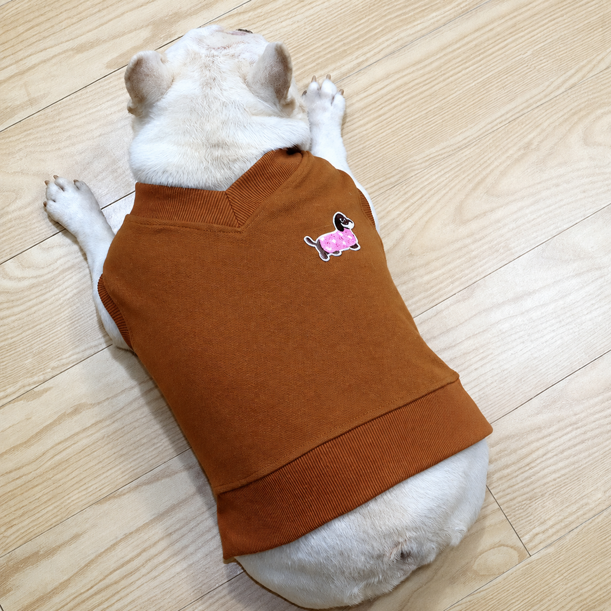 French Bulldog Spring & Autumn Vest
