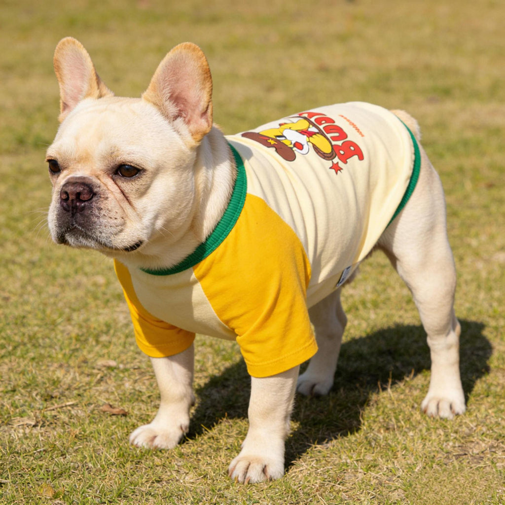 French Bulldog Color-Block Gym Sweatshirt