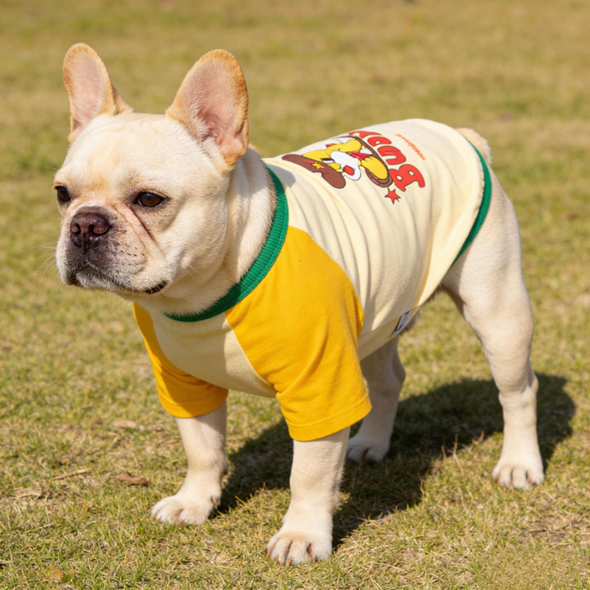 French Bulldog Color-Block Gym Sweatshirt