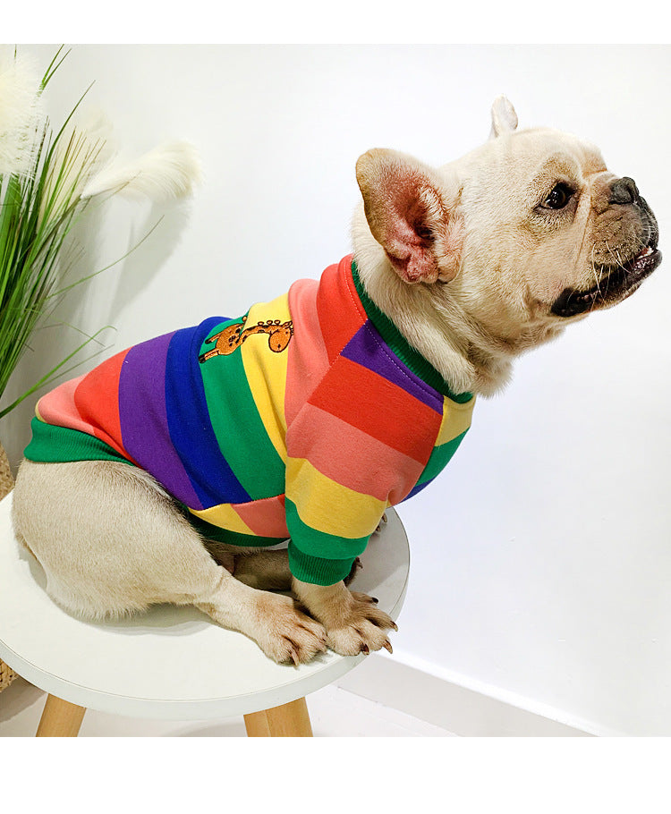 Rainbow Stripe Matching Set: French Terry Sweatshirts for Dogs & Humans (Spring/Fall Collection)