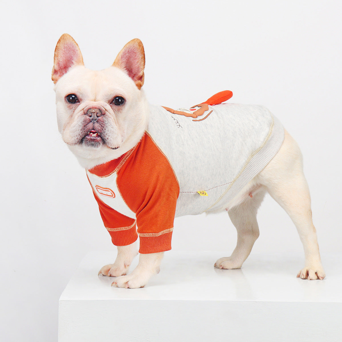 French Bulldog Embroidered Colorblock Sweatshirt