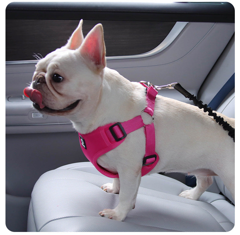 French Bulldog Car Safety Harness with Adjustable Seat Belt Leash