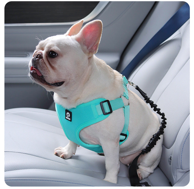 French Bulldog Car Safety Harness with Adjustable Seat Belt Leash