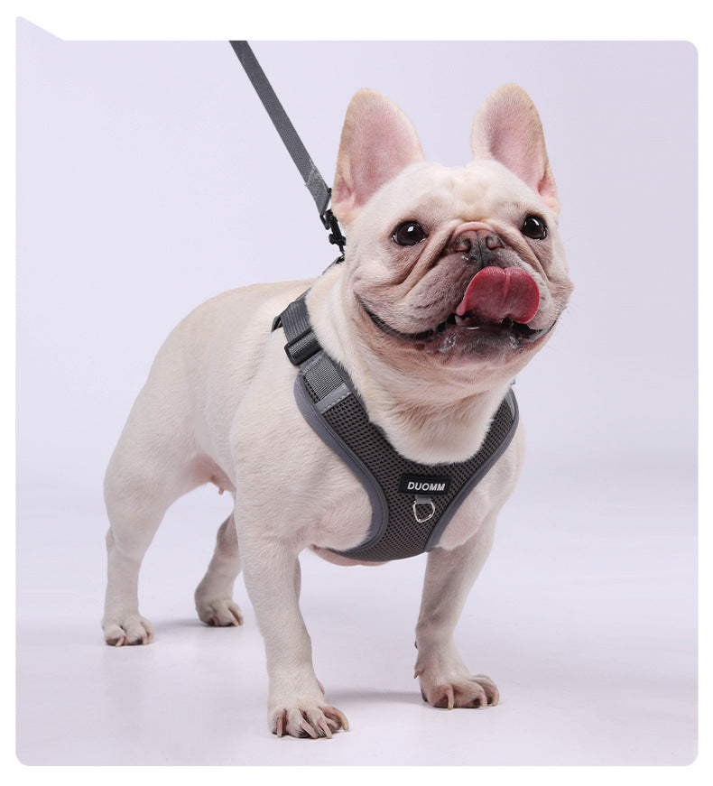 French Bulldog Reflective No-Pull Harness and Leash Set