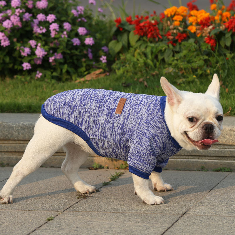 Paw-some Knit Sweater - For Frenchies & All Your Furry Friends This Snuggle Season