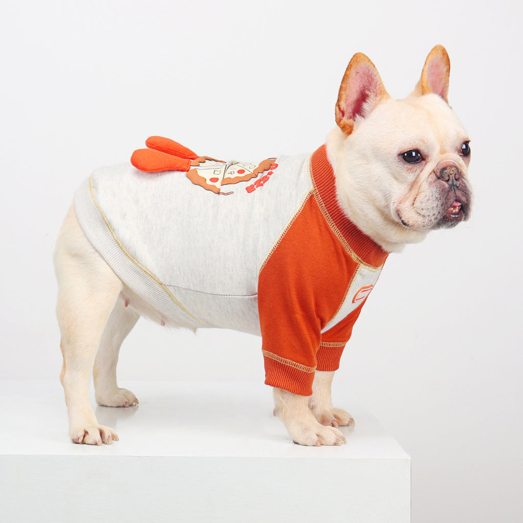 French Bulldog Embroidered Colorblock Sweatshirt