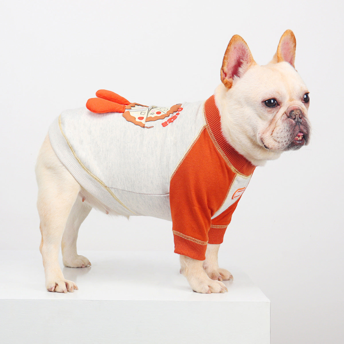 French Bulldog Embroidered Colorblock Sweatshirt