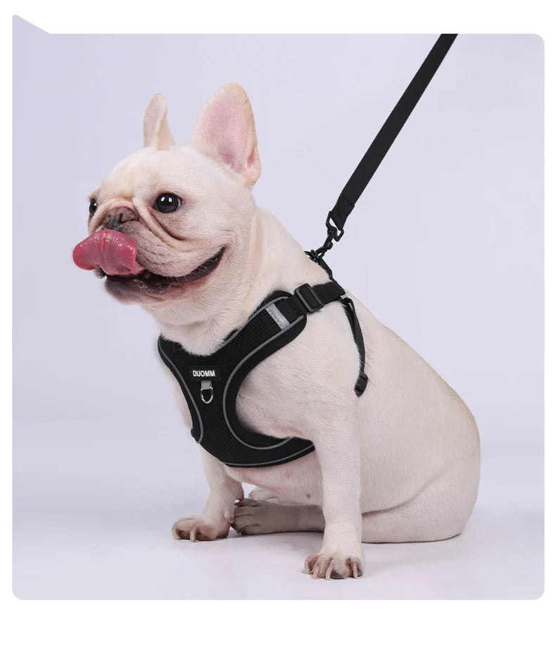 French Bulldog Mesh Harness and Leash Set