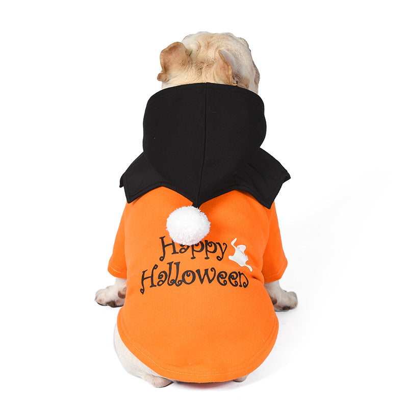 French Bulldog Christmas Outfit