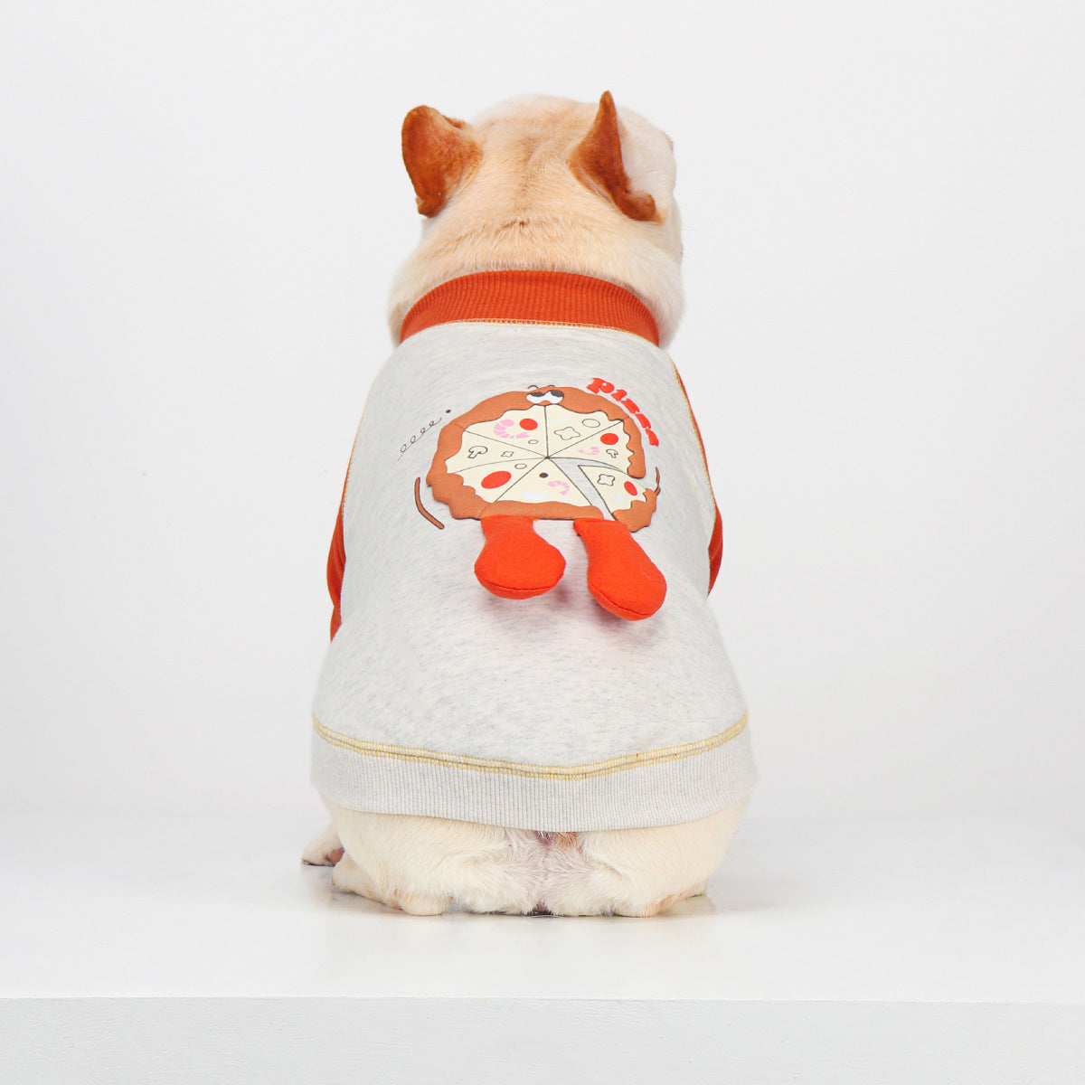 French Bulldog Embroidered Colorblock Sweatshirt