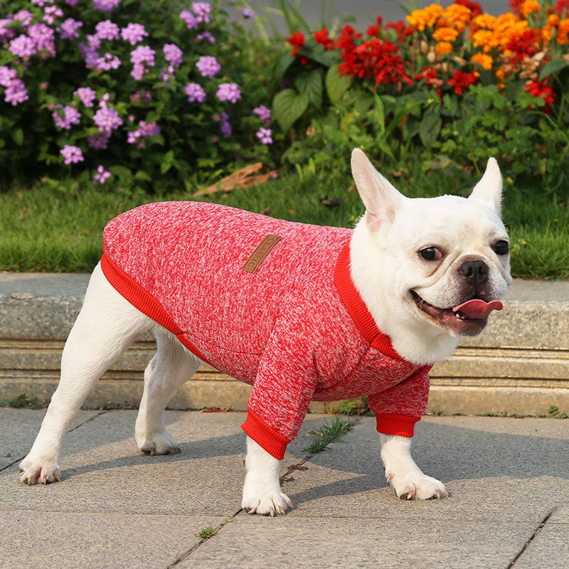 Paw-some Knit Sweater - For Frenchies & All Your Furry Friends This Snuggle Season