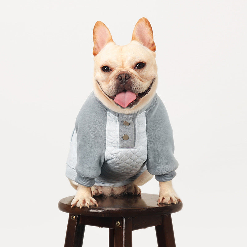 Frenchie Winter Coat