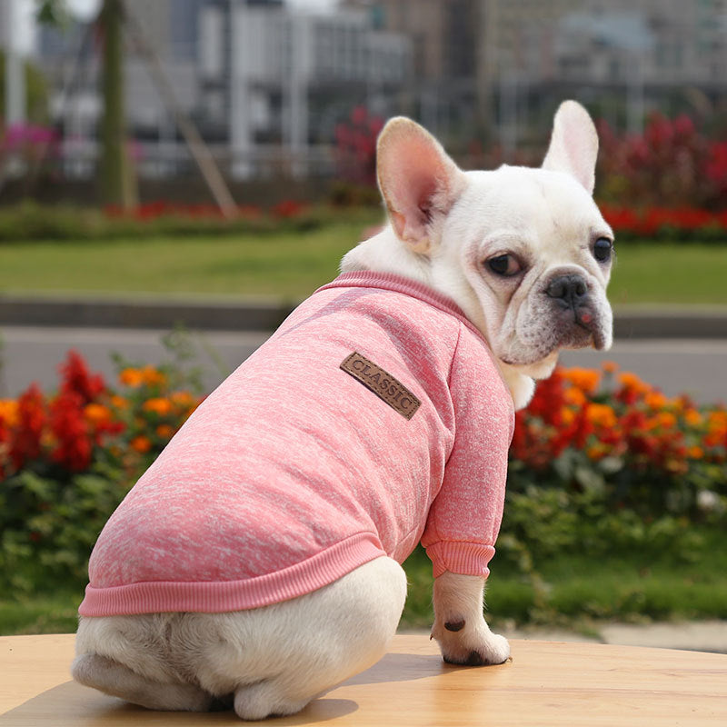 Paw-some Knit Sweater - For Frenchies & All Your Furry Friends This Snuggle Season