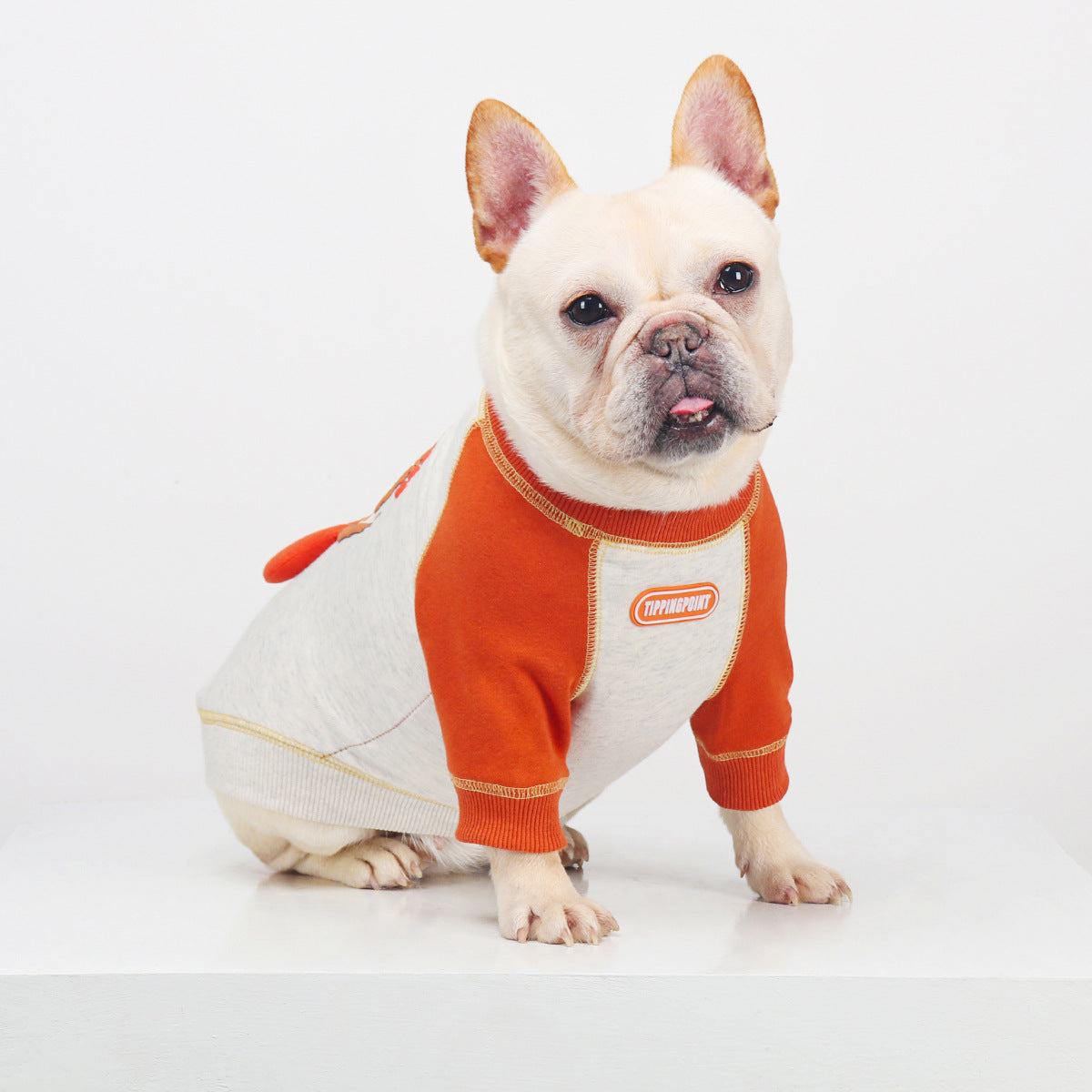 French Bulldog Embroidered Colorblock Sweatshirt