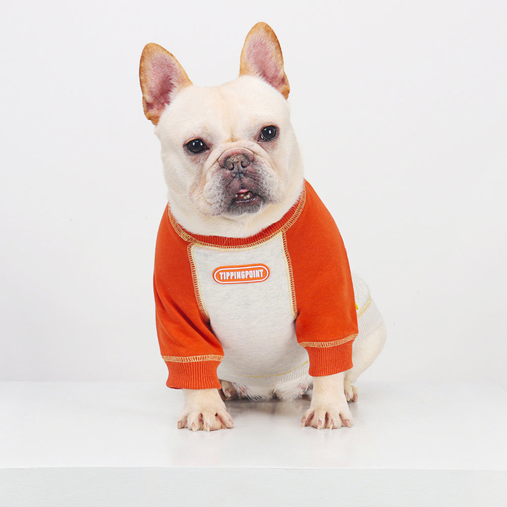 French Bulldog Embroidered Colorblock Sweatshirt