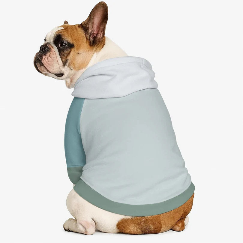 Frenchie Color-Block Hoodie