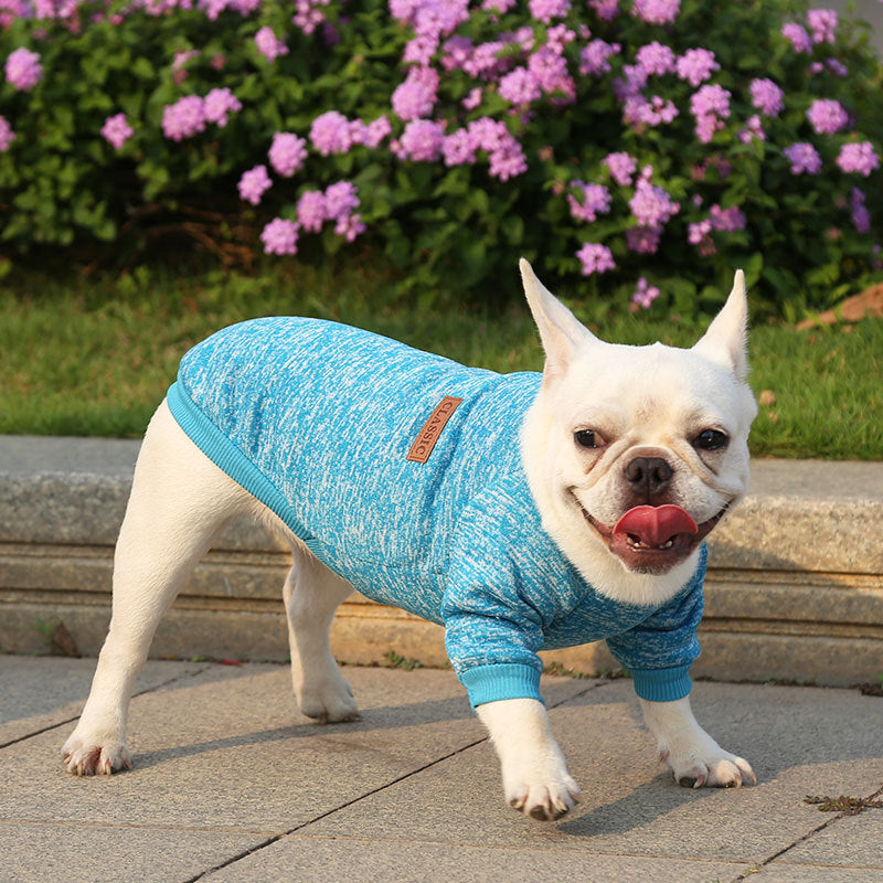 Paw-some Knit Sweater - For Frenchies & All Your Furry Friends This Snuggle Season